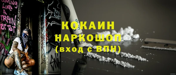 прущие крисы Горняк