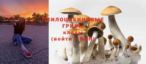 ALPHA PVP Горнозаводск