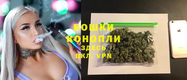 ALPHA PVP Горнозаводск