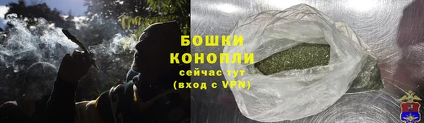 ALPHA PVP Горнозаводск