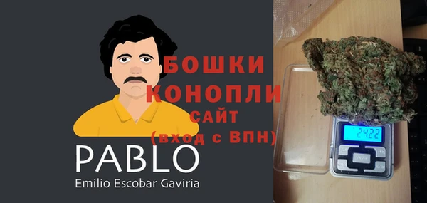 молекула духа Переславль-Залесский