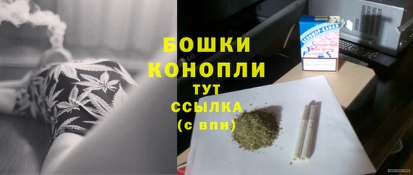 дурь Горно-Алтайск