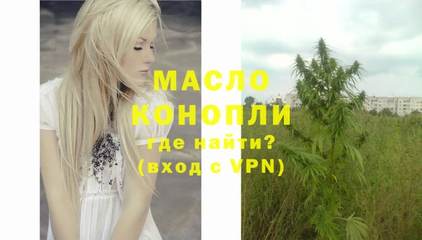 прущие крисы Горняк