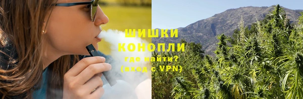 прущие крисы Горняк