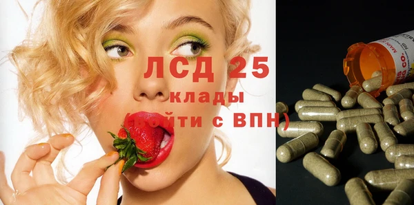 прущие крисы Горняк
