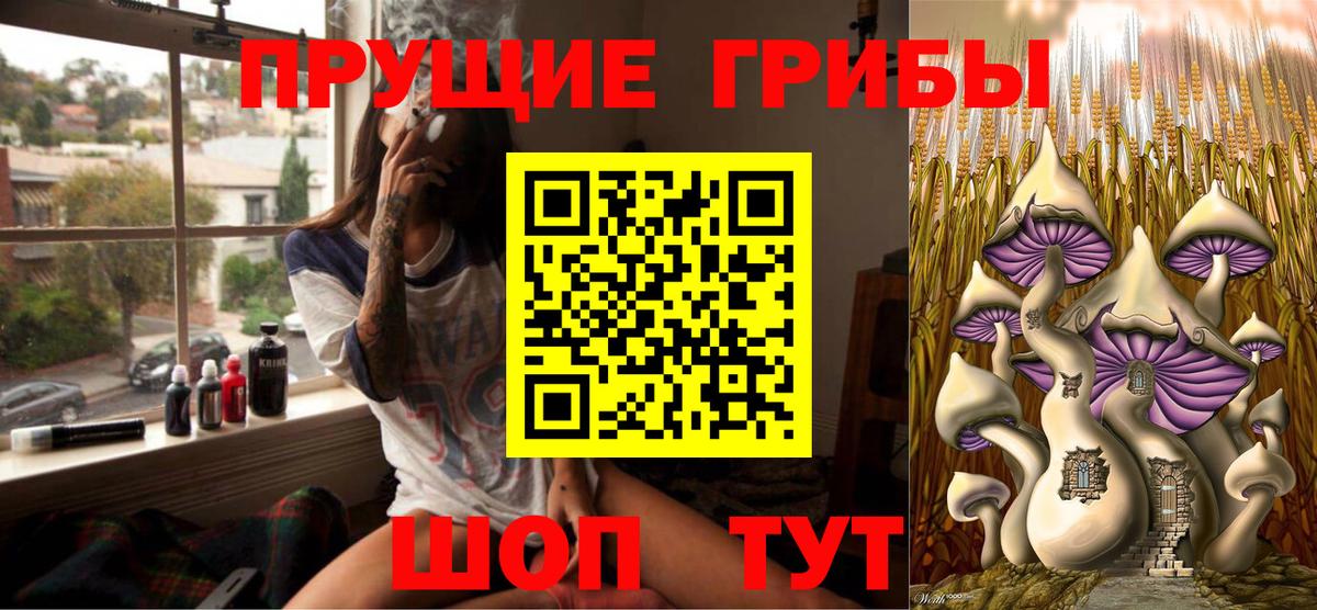 Галлюциногенные грибы Magic Shrooms  Вход с VPN  Галлюциногенные грибы ЛСД  Железногорск 