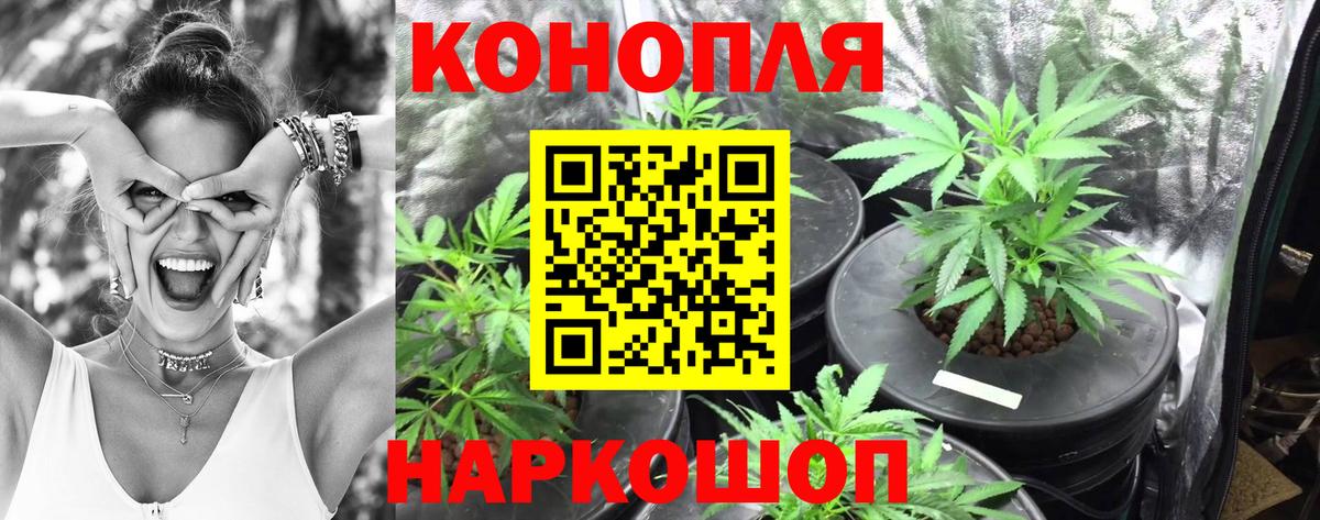 Шишки марихуана ГИДРОПОН Железногорск